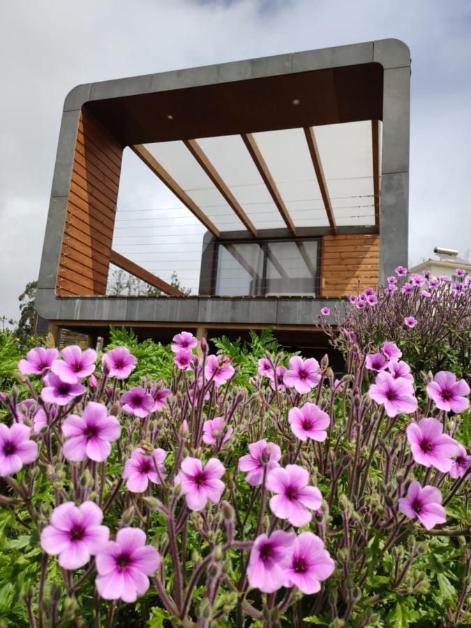 Calheta Glamping Pods - Nature Retreat Exterior photo